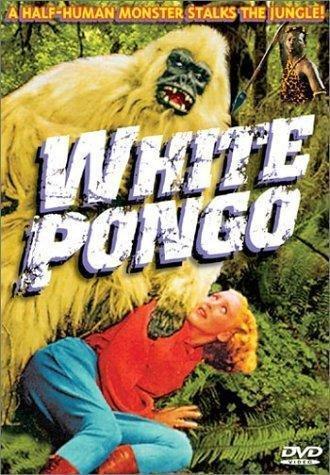 White Pongo