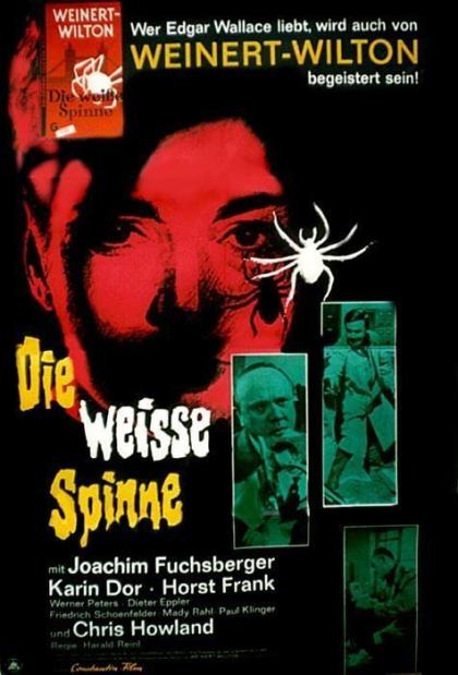 weiße Spinne