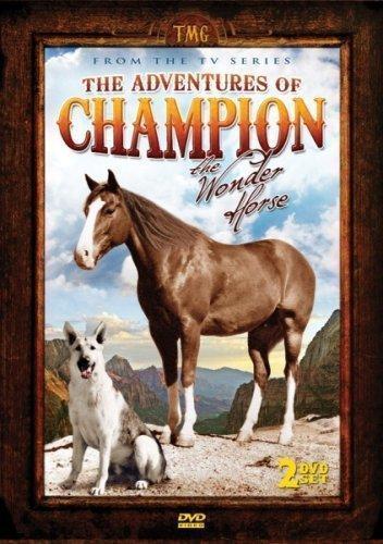 Adventures of Champion