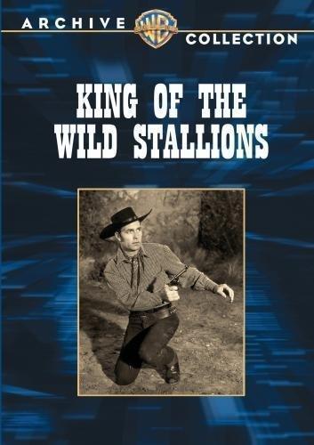 King of the Wild Stallions