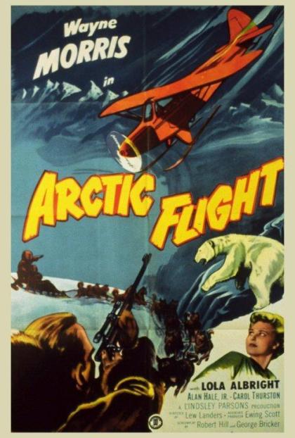 Arctic Flight