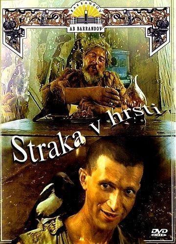 Straka v hrsti