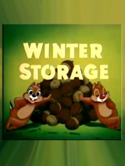 Winter Storage