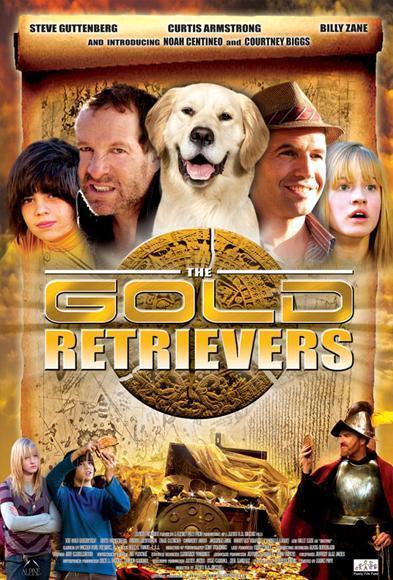 Gold Retrievers