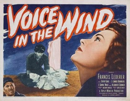 Voice in the Wind