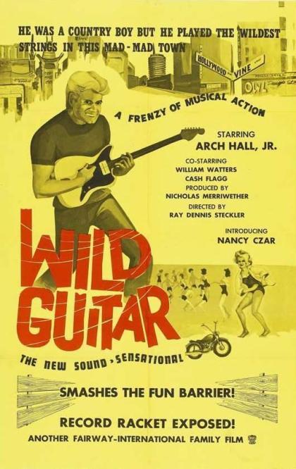 Wild Guitar