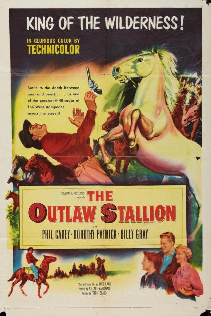 Outlaw Stallion