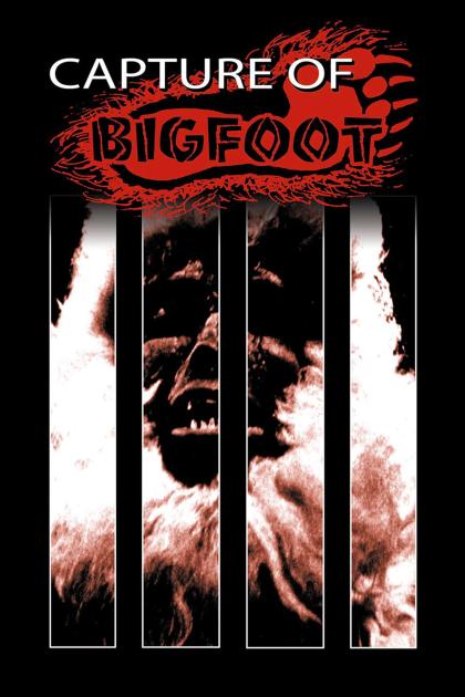 Capture of Bigfoot