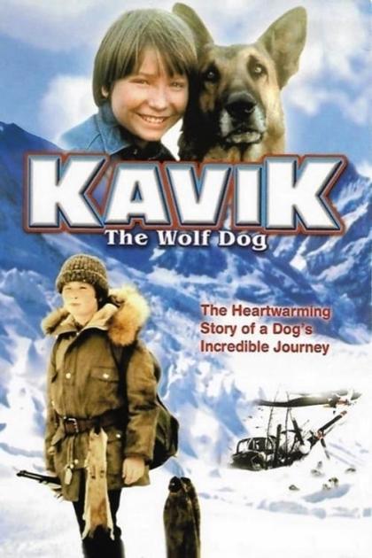 Courage of Kavik, the Wolf Dog