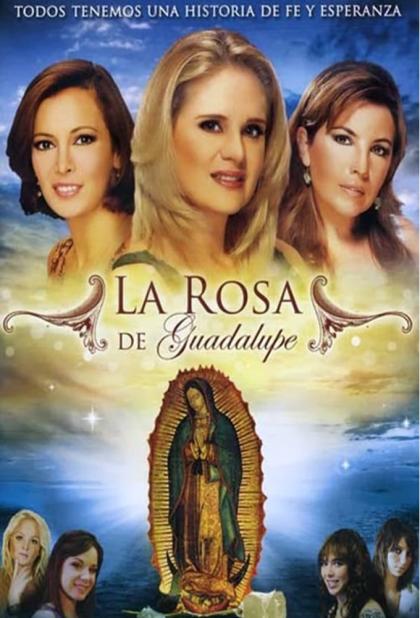 rosa de Guadalupe