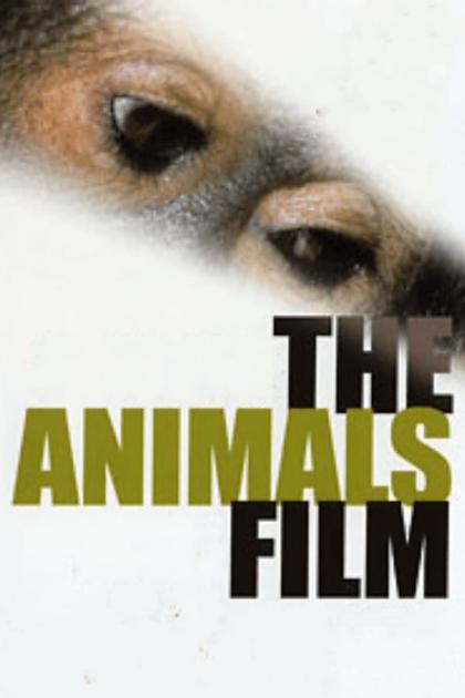 Animals Film