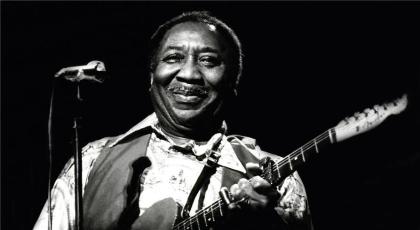 Muddy Waters